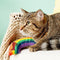 Yeowww! Catnip Toy Rainbow 1 Count